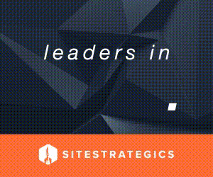 Sitestrategics: Leaders in SEO, SEM, DEV, SMM, PPC, OMG.