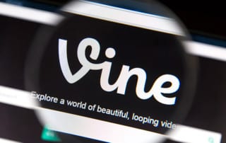 The Vine logo